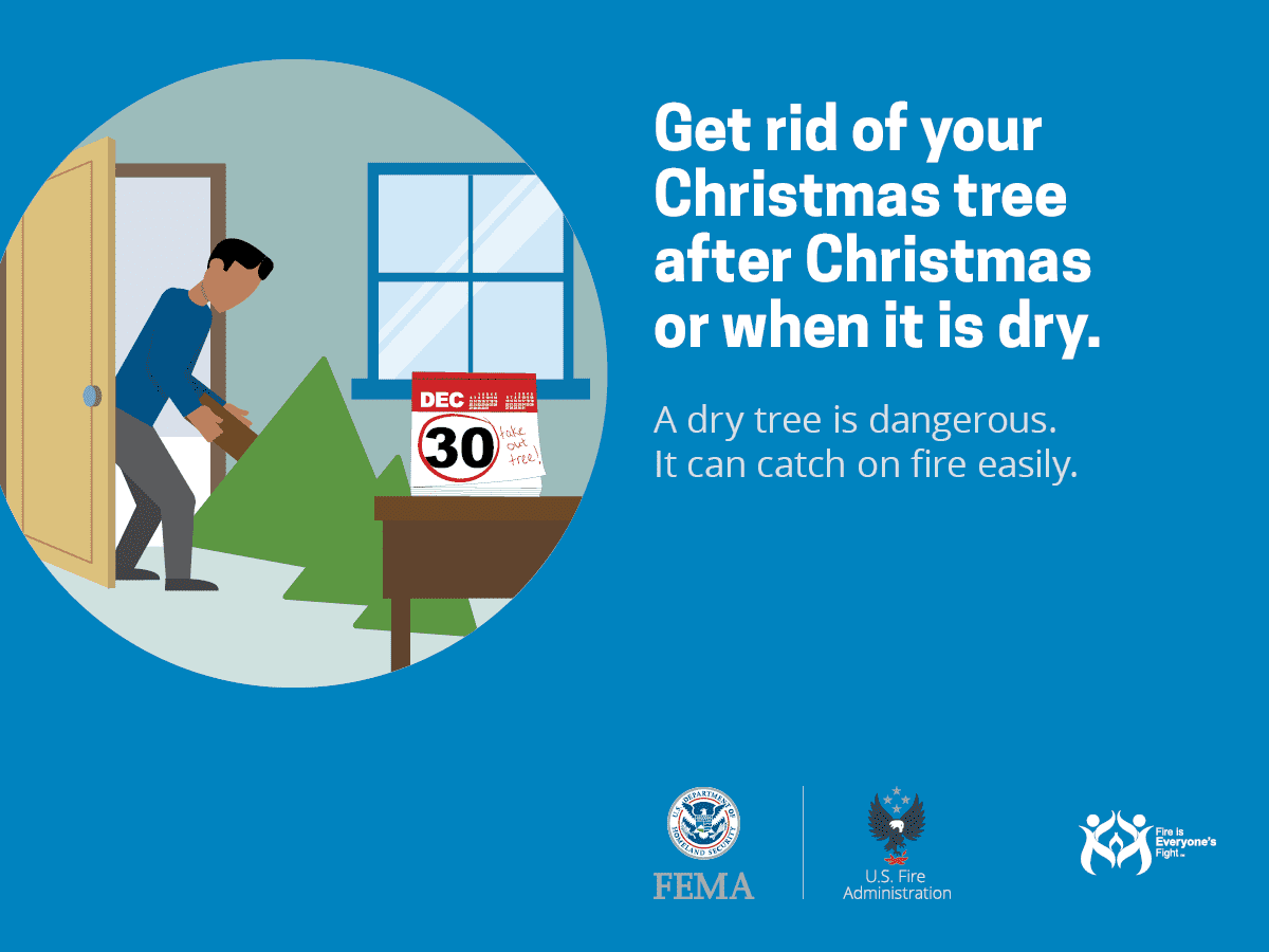 Read more about the article Get rid of Christmas Trees after Christmas or when it is dry