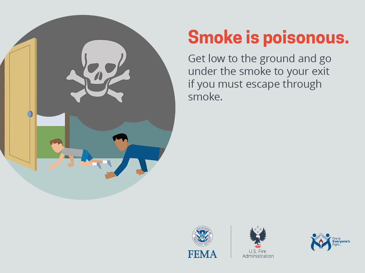 Read more about the article Smoke is poisonous