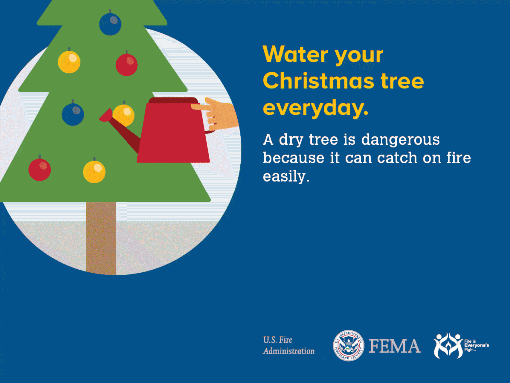 Christmas tree safety